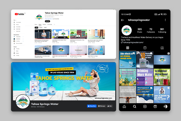 Social Media Marketing for Tahoe Springs Water by Wise advertisement