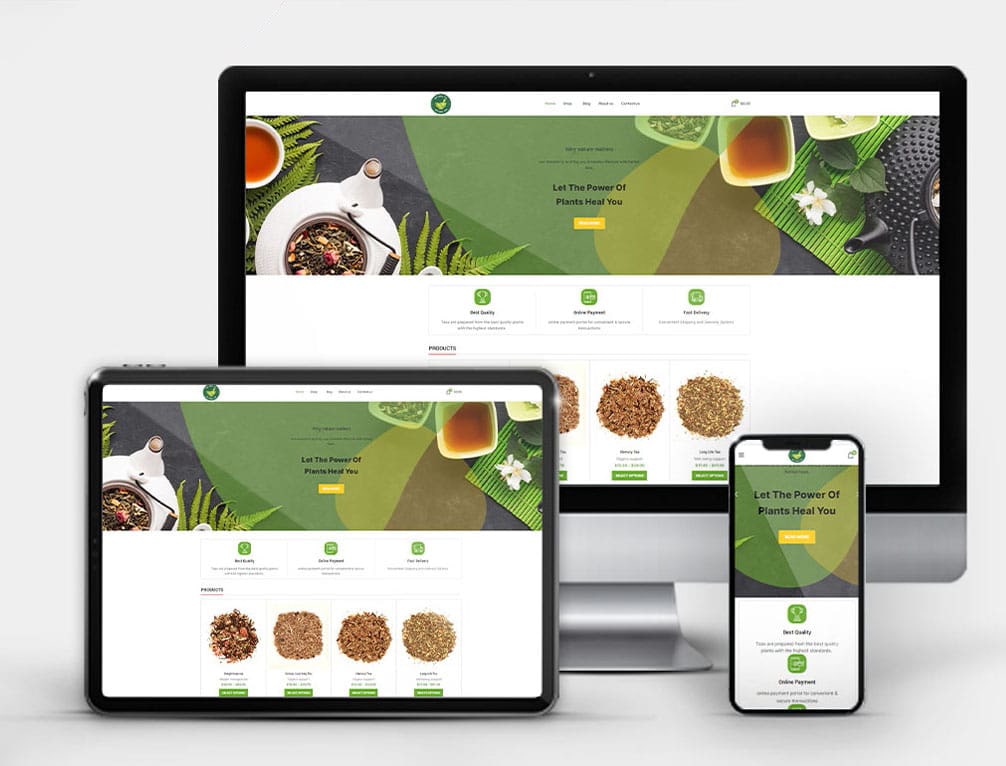 Wise Portfolio - Get Well Tea